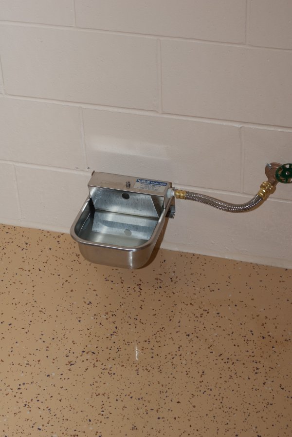 Never-ending water bowl