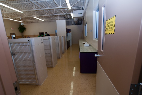 Kitchen side of the feeding kennels.. lots of room!